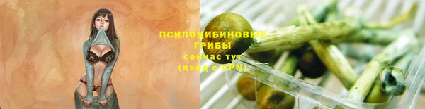 apvp Алексин